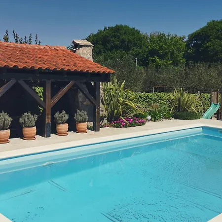 Nika Rasopasno