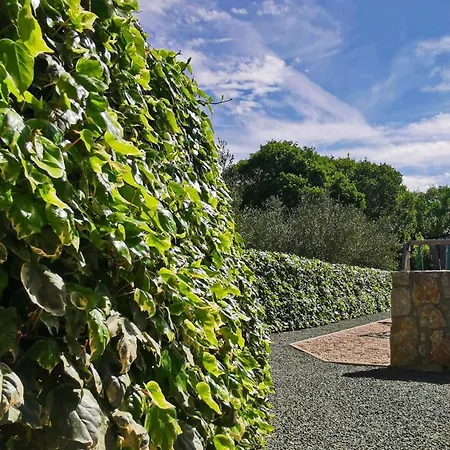 Nika Villa *