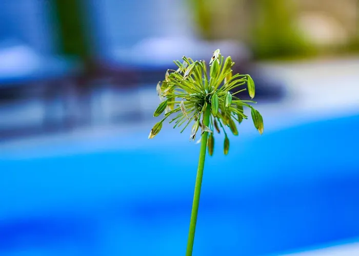 Nika - Rustic Stone House With Heated Pool *