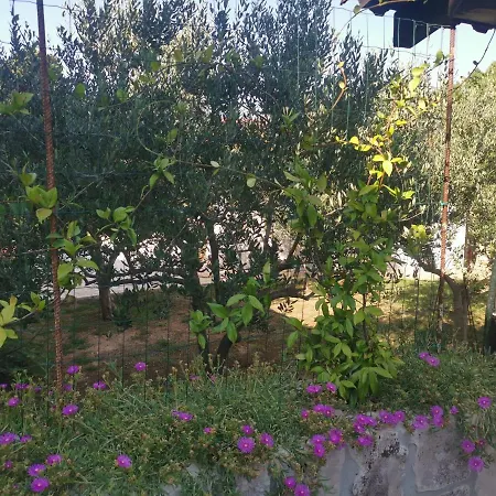Nika וילה Rasopasno