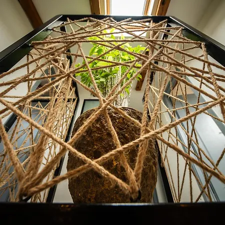 Villa Nika - Rustic Stone House With Heated Pool * Rasopasno